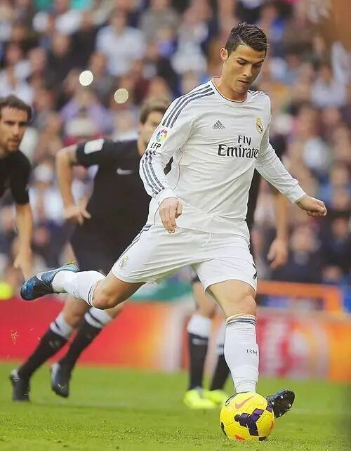 豪门传统势 豪门传统势