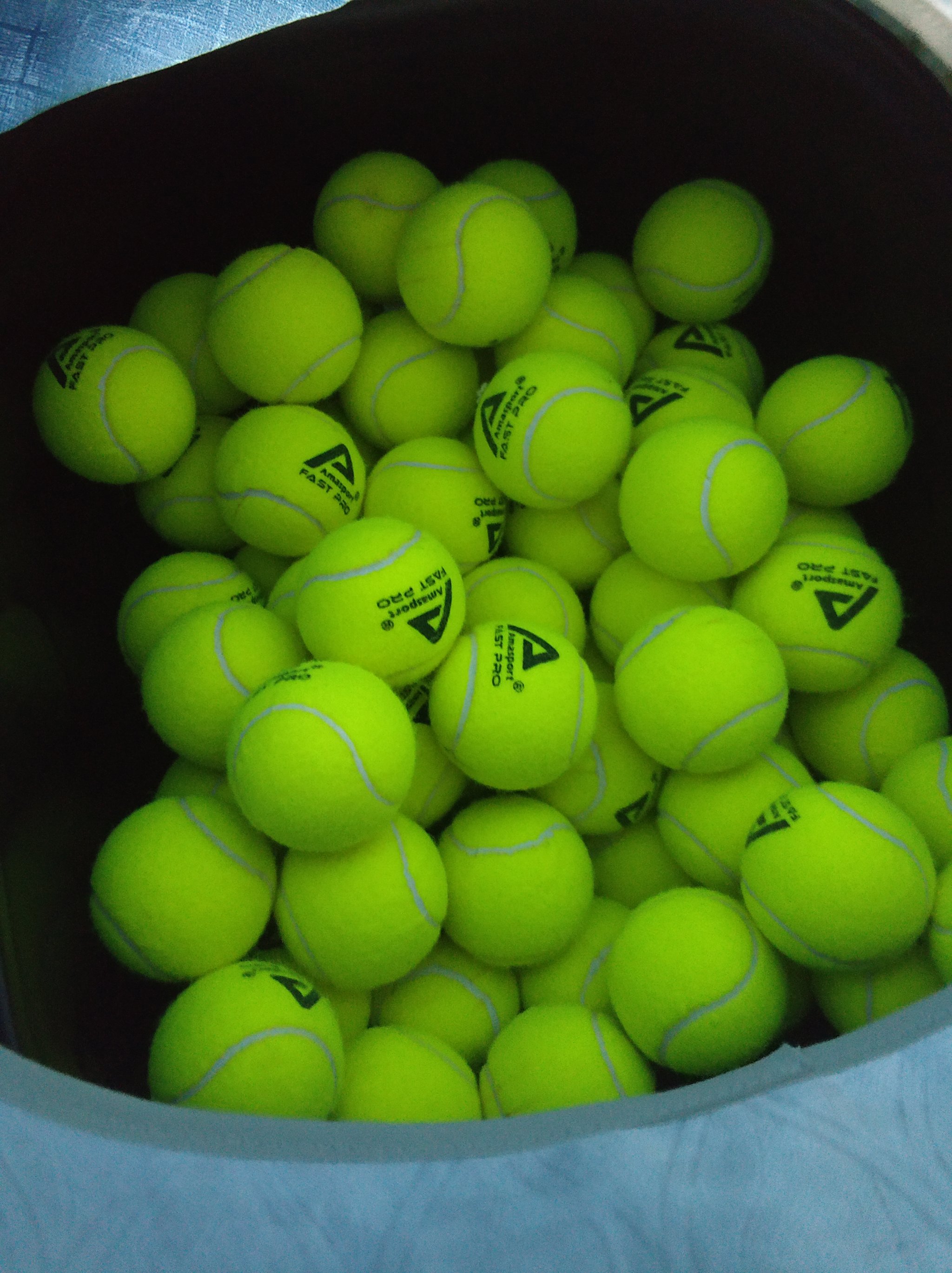 仅让我保持 仅让我保持