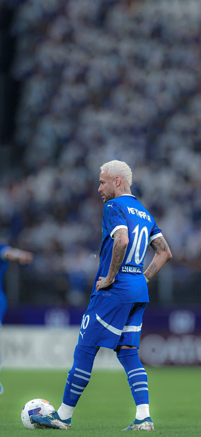 意味着庞大 意味着庞大